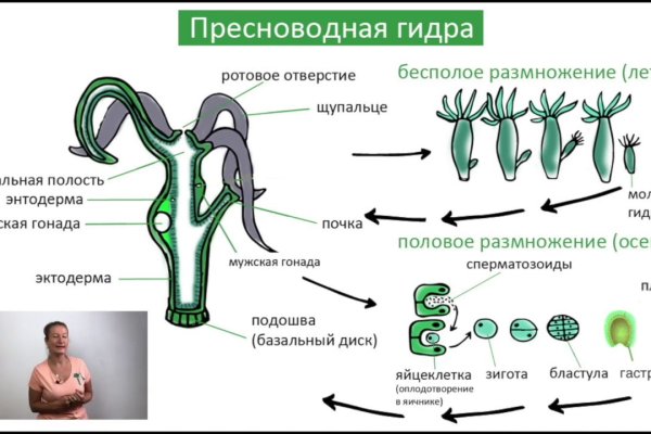 Mega через tor