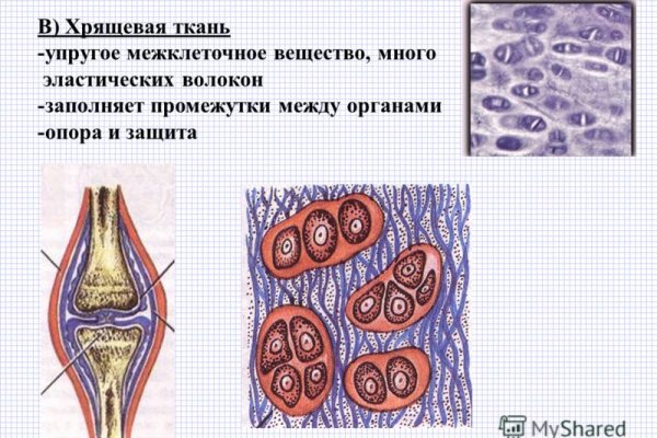 Mega tor org зеркало rutor info